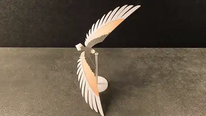 Balancing Eagle