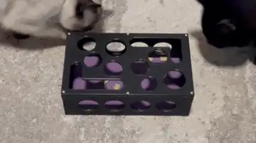Cat Nail Filing Treat Box