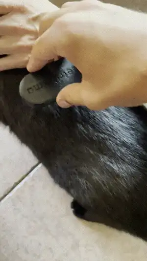 Flexible Grooming Brush