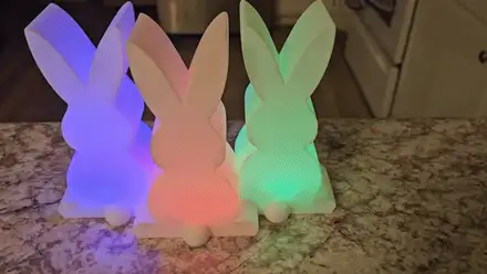 Easter Bunny Light