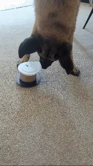 Pet/Dog Toy