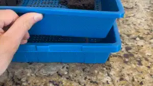 Wick Watering Seedling Spacer (Bootstrap Farmer)