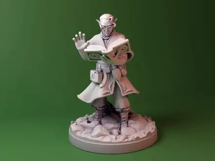 Elf Wizard\Warlock dnd miniature
