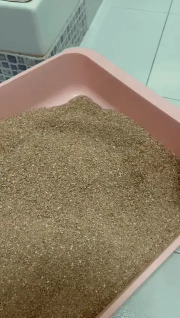 Cat poop scooper