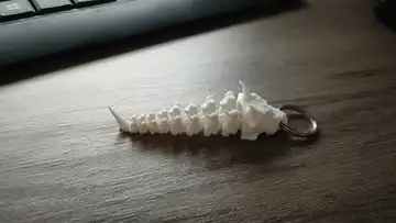 Little articulated bone dragon