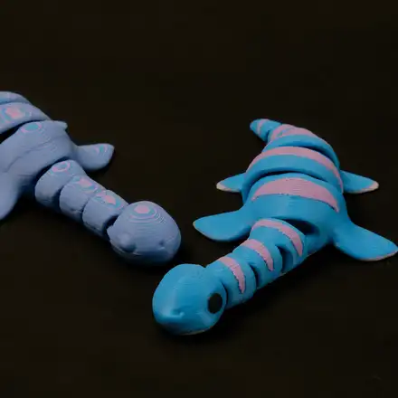 Jurassic Articulated Plesiosaurus