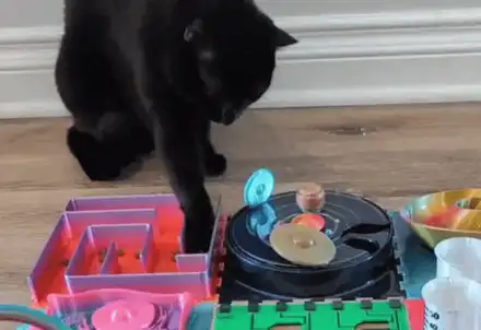 Curious Paws - Maze Slow Feeder Puzzle