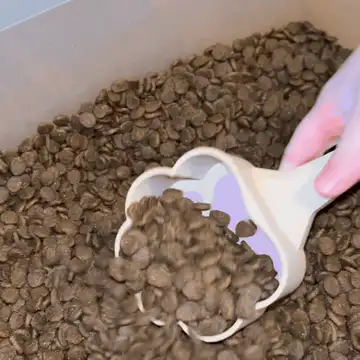 Pet Food Scoop - Paw Design