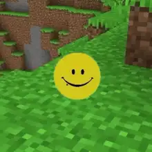 Echo dot Verity minecraft
