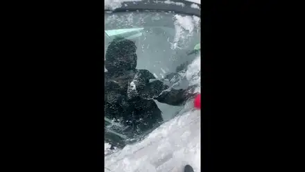 Window ice scraper