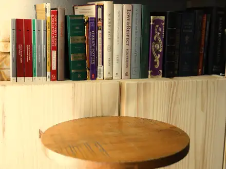 Hidden Book Storage Box (Customizable)