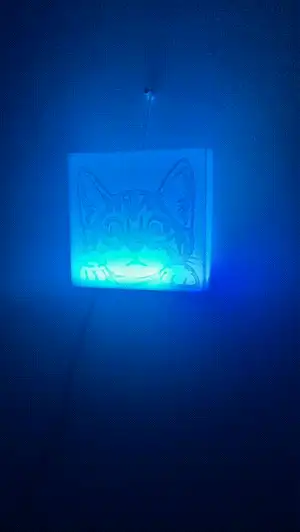 Cute Cat Light Box