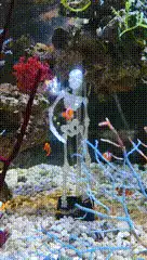 Dancing Skeleton Fish Tank Oxygen Ornament