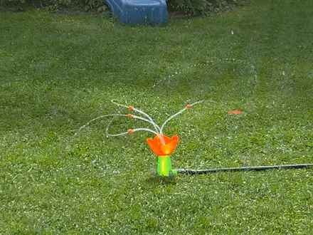 Crazy Water Flower - fun and chaotic water toy