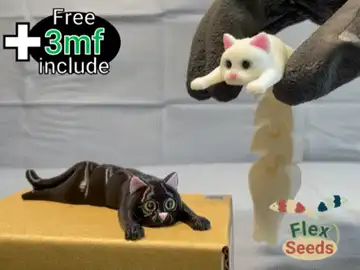 Flexi Holding Cat
