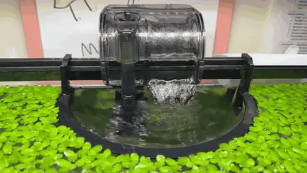 aquarium plant ring