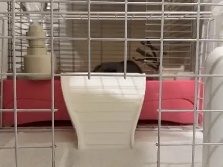 Guinea Pig/Rabbit Cage Stair