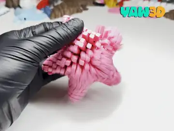Flexi Starfish Fidget