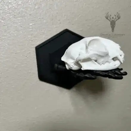 Skeleton Hand Hanger