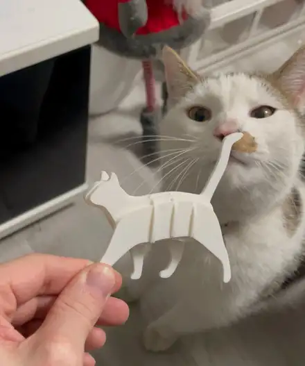 Walking Cat Kit Card