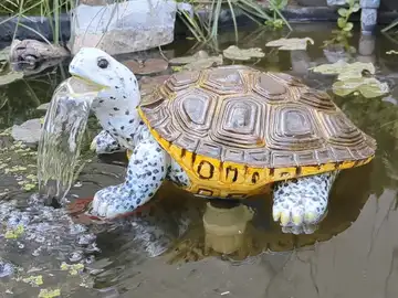 Turtle Water Fountain - Functional for ponds