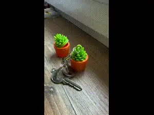Keychain flower pot hiding place coin