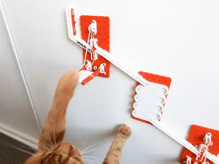 A Marble Run Treat Dispenser