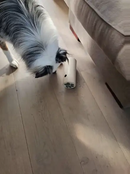 Dog treat rolling dispenser