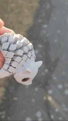 Cute Wiggly Squirrel Pack