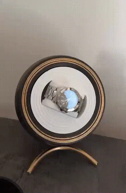 Watch winder watch mod