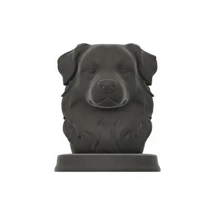 Australian Shepherd, Dog Bust