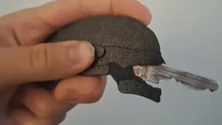 Alien key cover