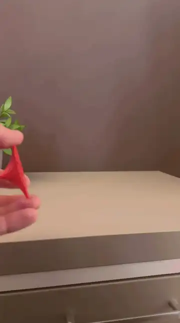 Spinning Top