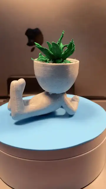 Mini Desk Planter "The curious" Cute Succulent Pot