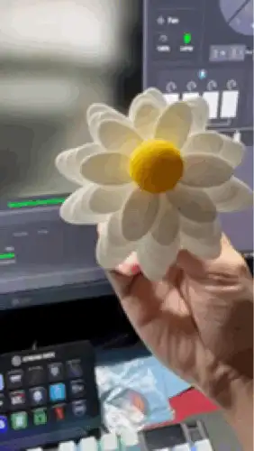 Daisy Flower Spiral Spinner Fidget