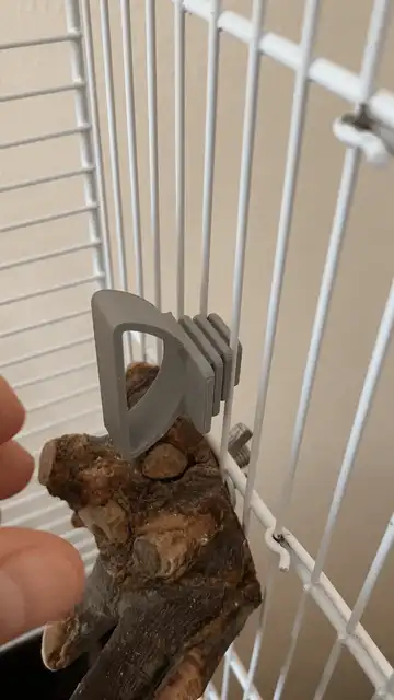 Bird Cage, Cuttlebone holder