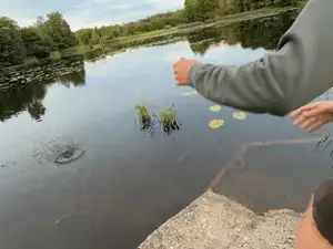 The Flying Puck - Water Edition