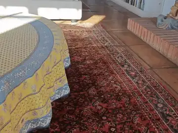 Customizable Cat Toy Balls!