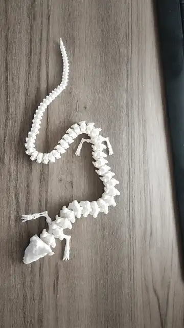Big articulated bone dragon