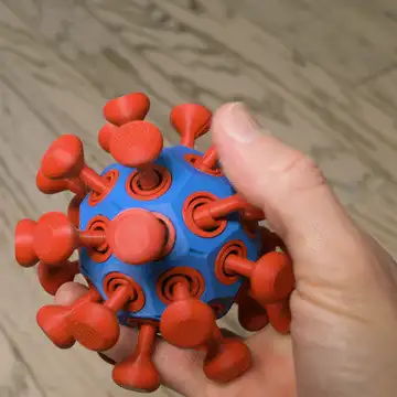 Virus Fidget Toy