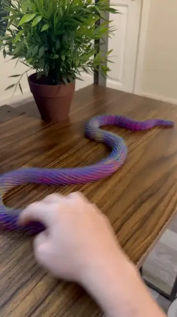 Articulated Fidget Snake toy with Separate Eyes