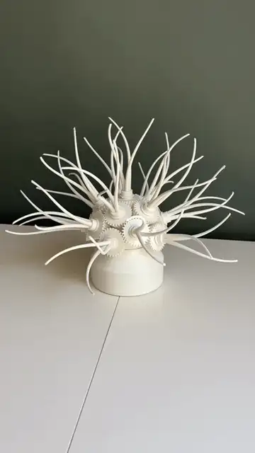 ANIMECH Actinia - Kinetic Gear Anemone