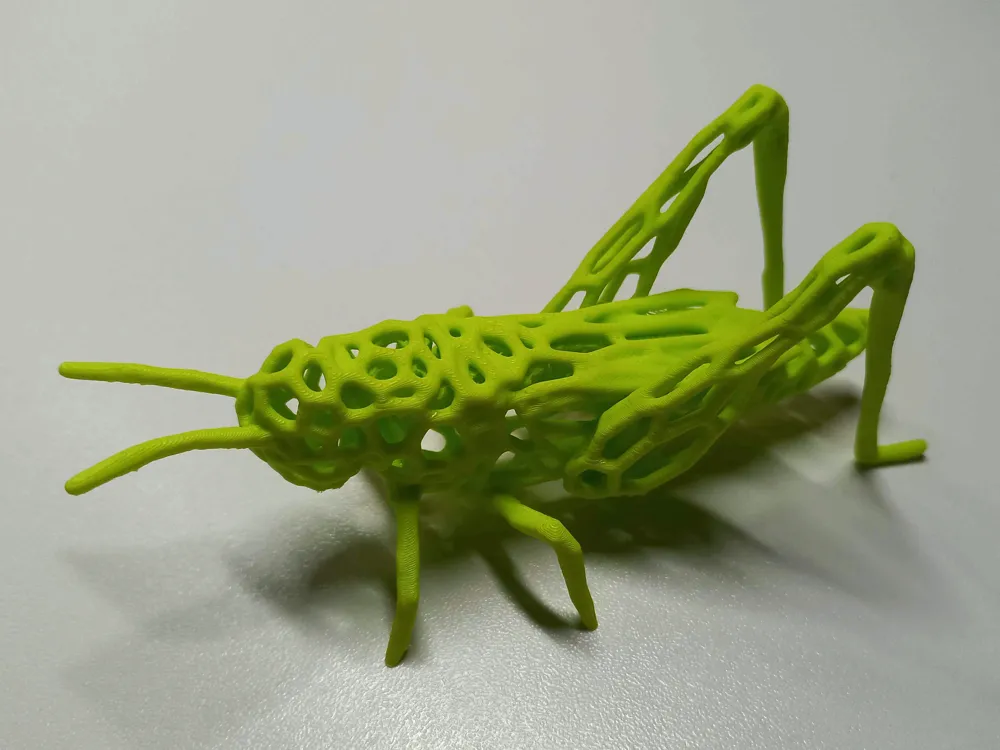Grasshopper / Cricket Voronoi, photo 3 of 4 - Grasshopper / Cricket Voronoi Art