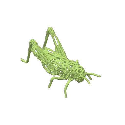 Grasshopper / Cricket Voronoi, photo 4 of 4 - Grasshopper / Cricket Voronoi Art
