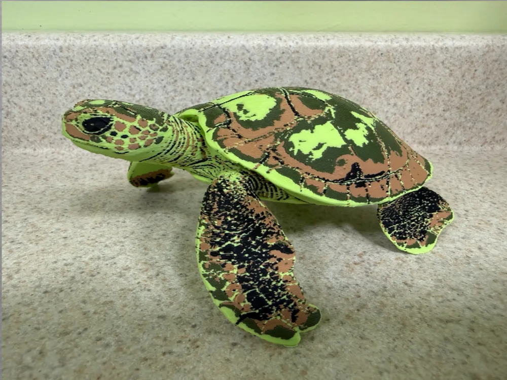 Green Sea Turtle-Ultra-Realistic Figure, photo 2 of 3 - Green Sea Turtle-Ultra-Realistic Figure Miniatures