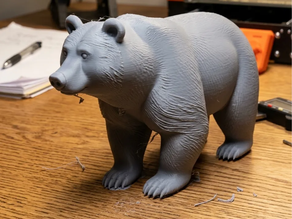 grizzly bear - Animals, in stock in India