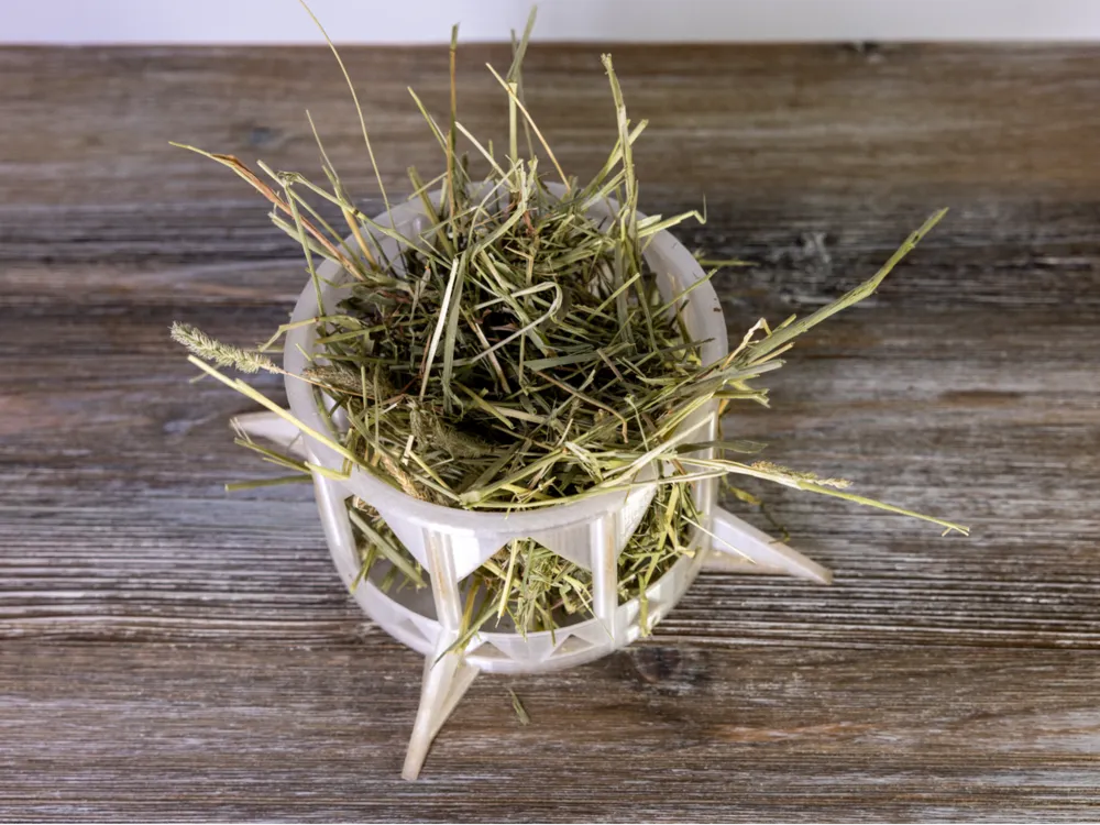 Guinea Pig Hay Holder