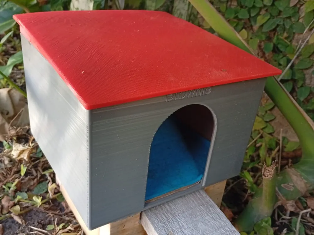 guinea pig house