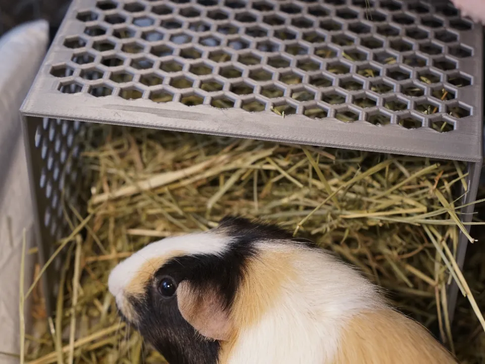 Guinea Pig/Rabbit Hay Feeder