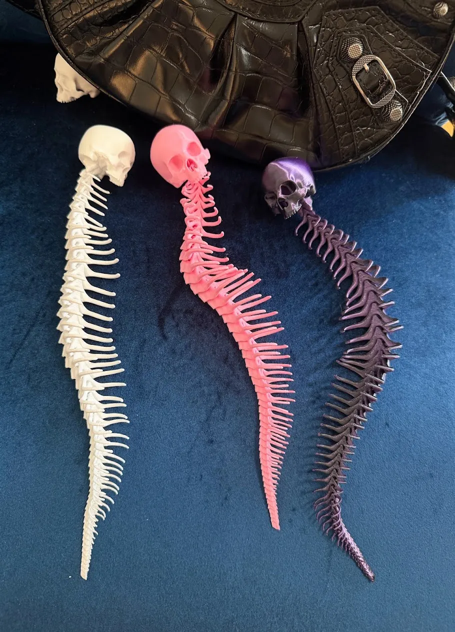 Halloween Snake Articulated Skull Spine flexible, photo 4 of 4 - Halloween Snake Articulated Skull Spine flexible Toys & Games